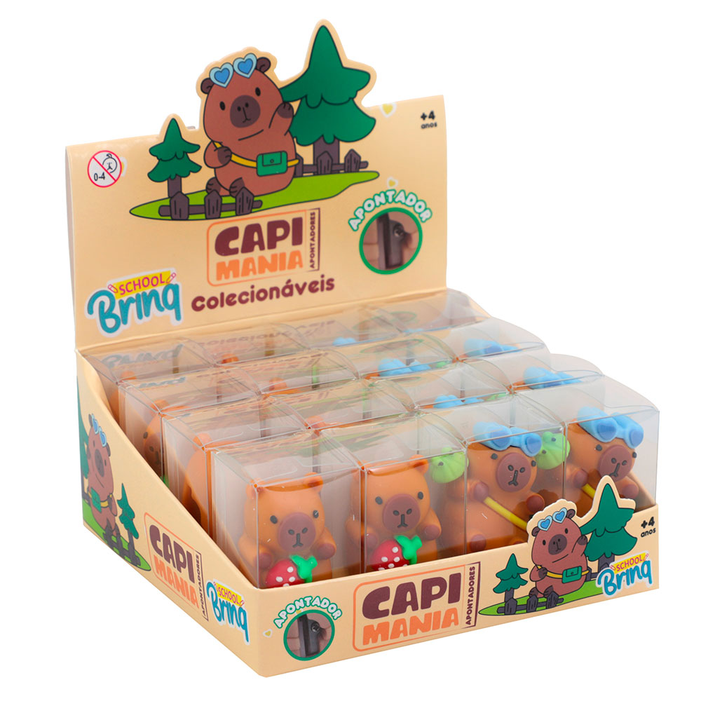 SCB217_CAPI_01